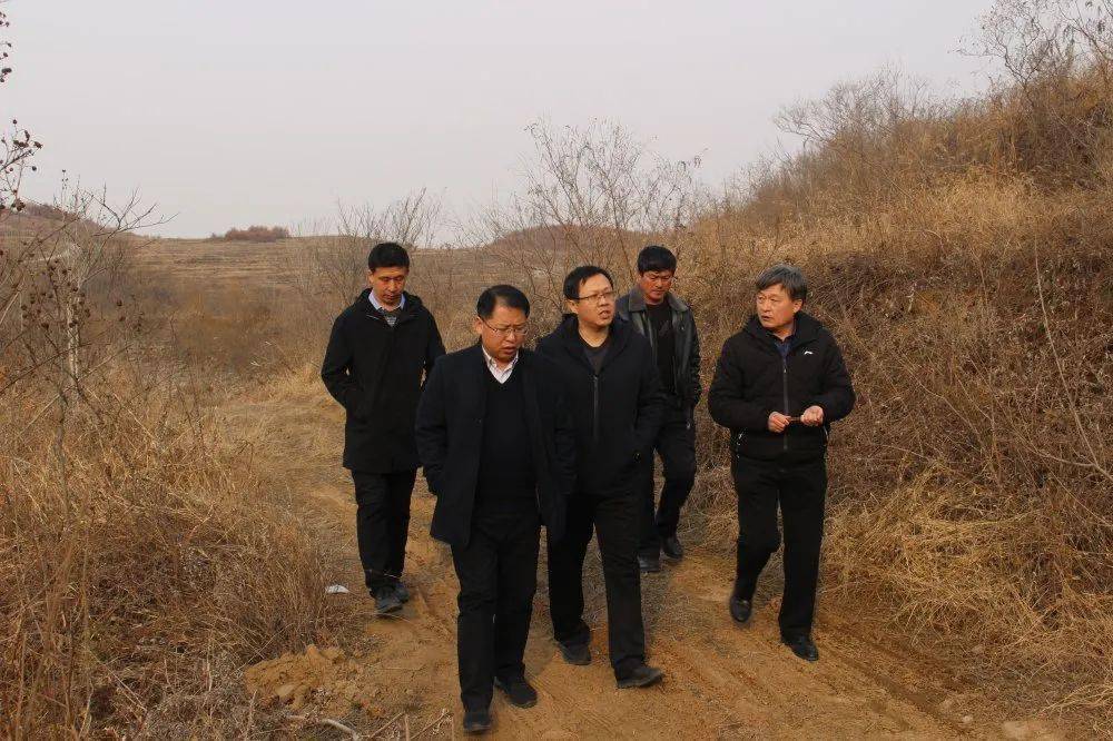 副县长王传国同志到中至镇督导护林防火及乱占耕地建房整改工作情况