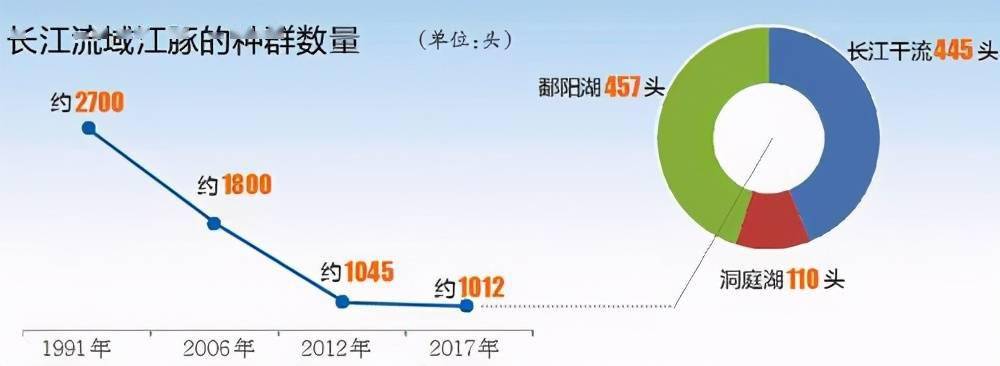 水中国宝长江江豚升级啦