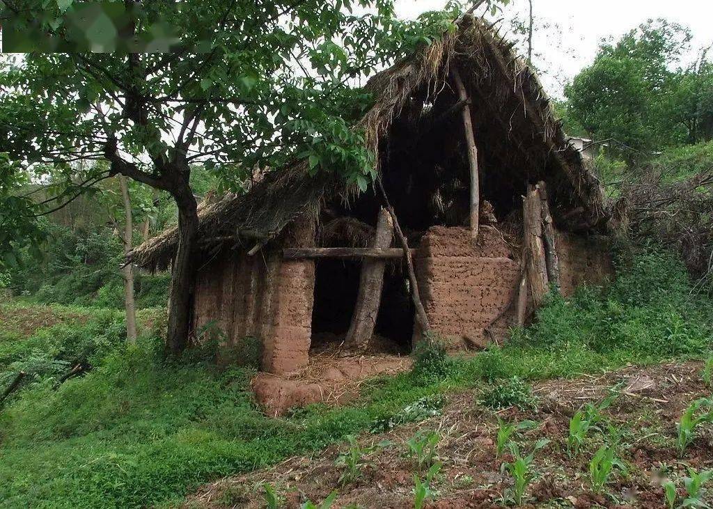 临武奇特地名水牛棚水流泵