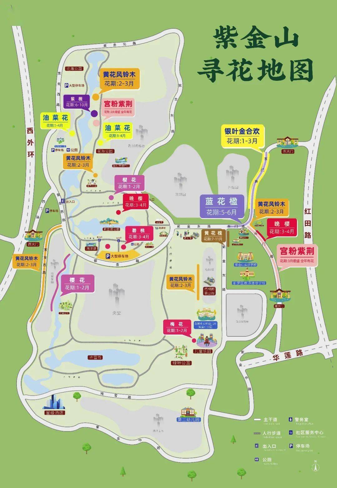 龙岩也有网红油菜花打卡地啦~_紫金山