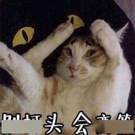 d4ba4271ae31411b9e793e3ffe86c14d.jpeg