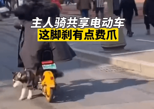 狗狗却不停的用双脚"刹车"