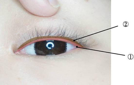 第一部分是我们研究黏膜的位置,第二部分是睫毛根部