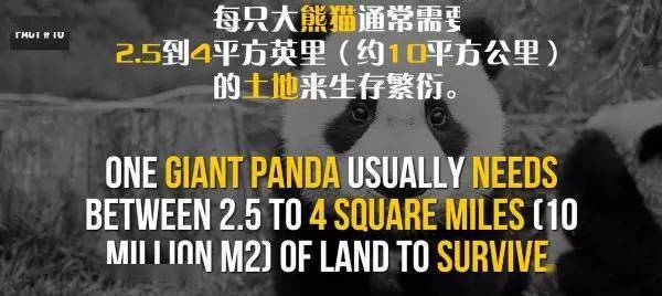 20個關於熊貓的冷知識，看到第6個我驚了！ 萌趣萌寵 第16张