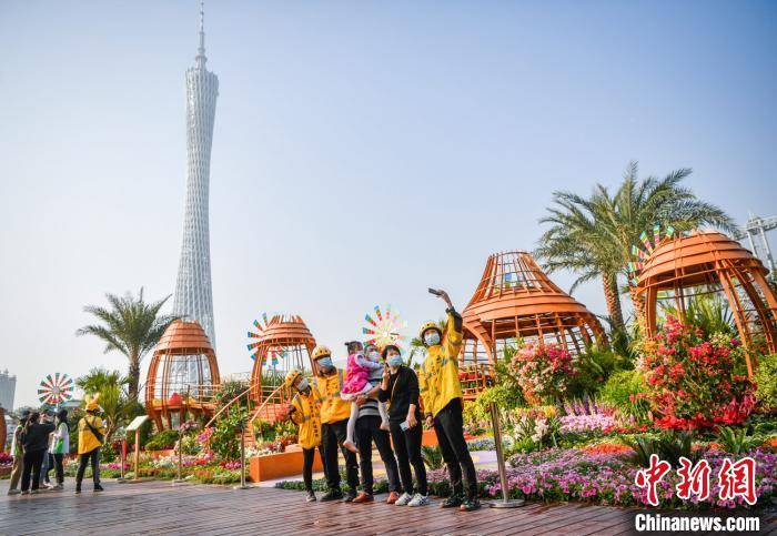 广州十万平方米花海迎新春首设两大阳光花房 市民 广州十万平方米花海迎新春首设两大阳光花房 市民