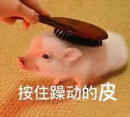 61145614fe58469eace5dd4c9dc44eef.jpeg