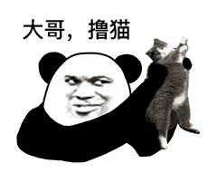 240_201gif 动态图 动图