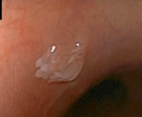 ab1761b2189e4f519d1737bc963b1775.png