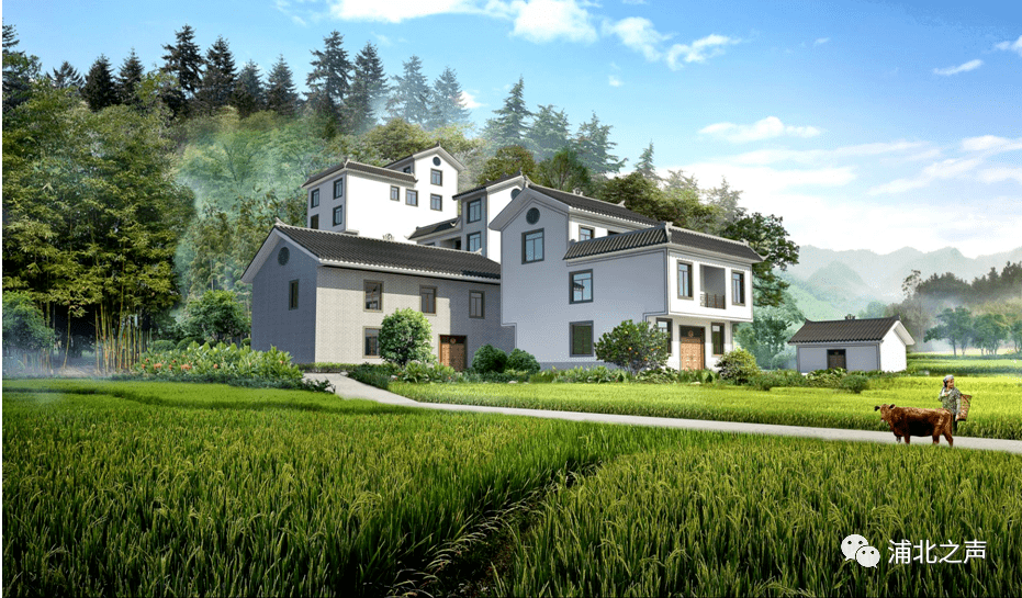 共建美丽宜居乡村 共享小康幸福生活 ——致浦北全县父老乡亲们的一封