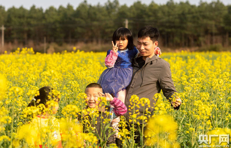 江西永新：群花绽放迎春来