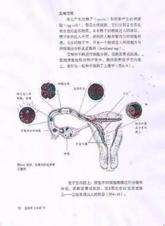 部编版初中生物七年级下册课本预习必备