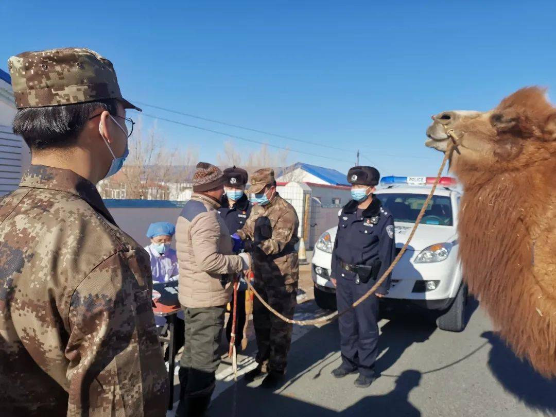 春节假期安全不放假丨潮格温都尔镇人武部开展2021年度民兵春节战备