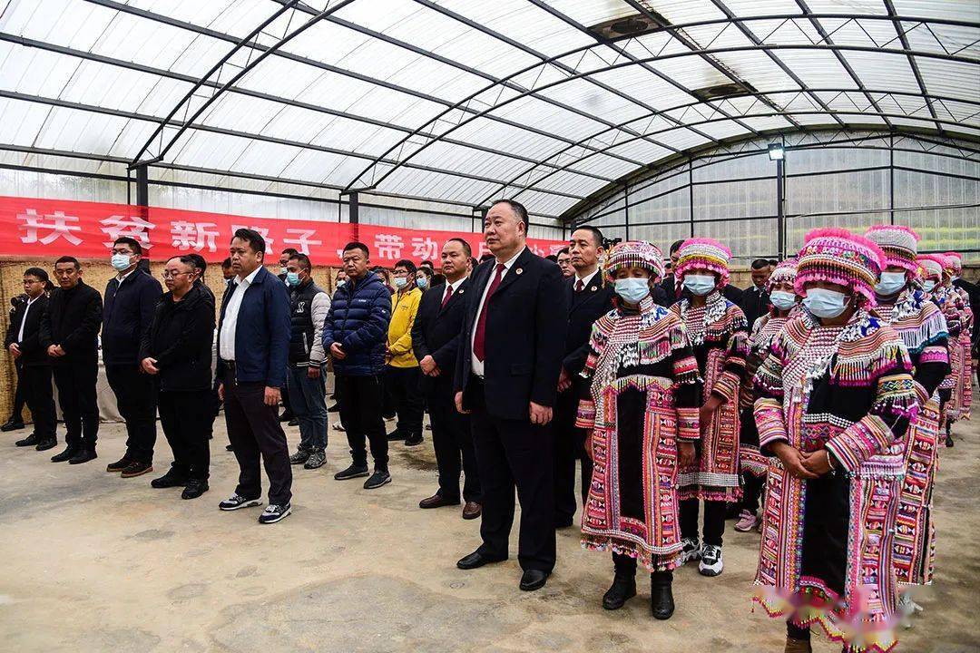 在临沧市双江县忙糯乡邦界村邦界古茶贸易农民专业合作社举行"云南