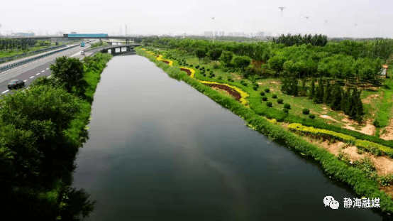 看静海静海这些河道要连通在一起了