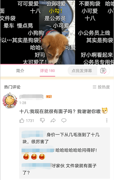 還記得那隻在雪地里被兵哥哥救了的小土狗「十八」嗎？現在它被寵上了天！ 萌趣萌寵 第16张