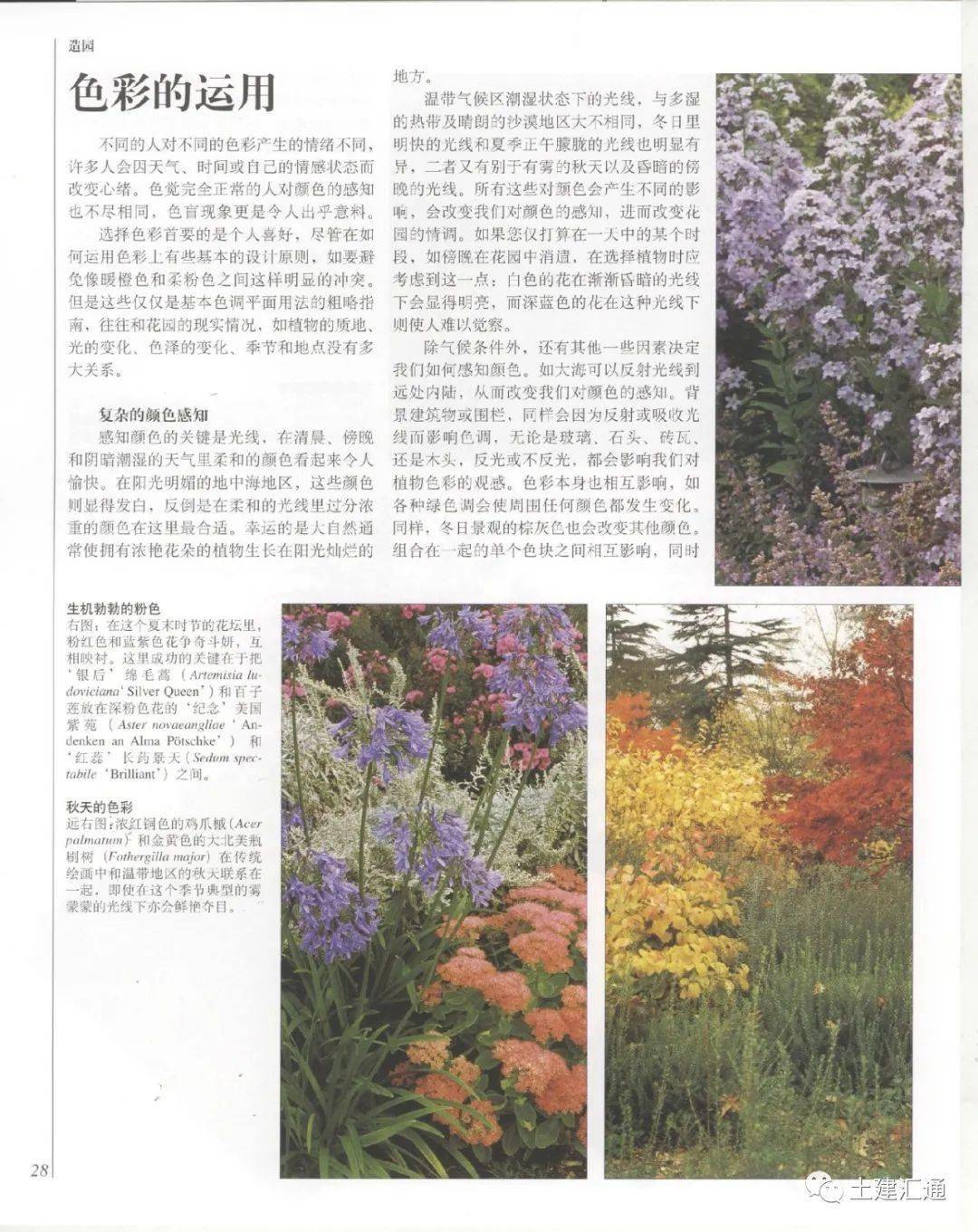 世界園林植物與花卉百科全書02造園與植物選擇