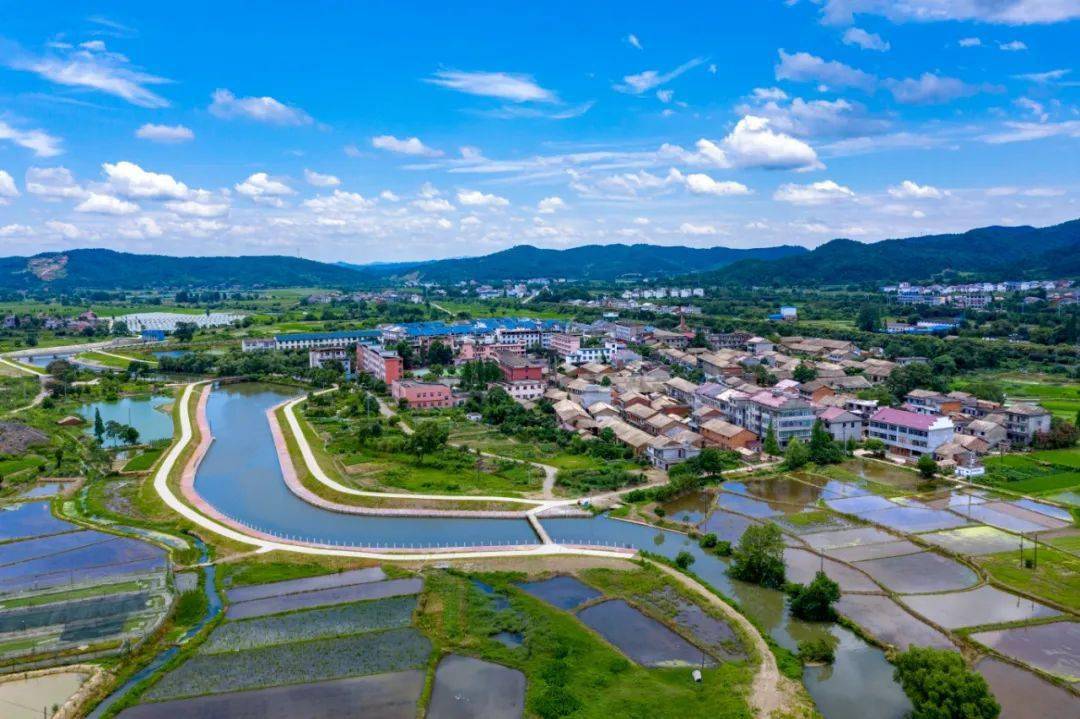 【界水动态】界水近期工作简讯(二)