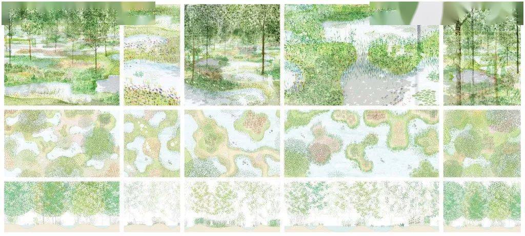 石上纯也—水庭,318株老树的迁移_树木