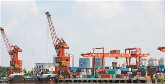 新会gdp_新会陈皮