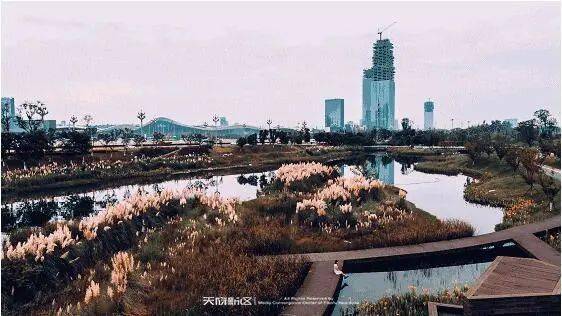 成都市2021年GDP_成都市2021年规划图(3)