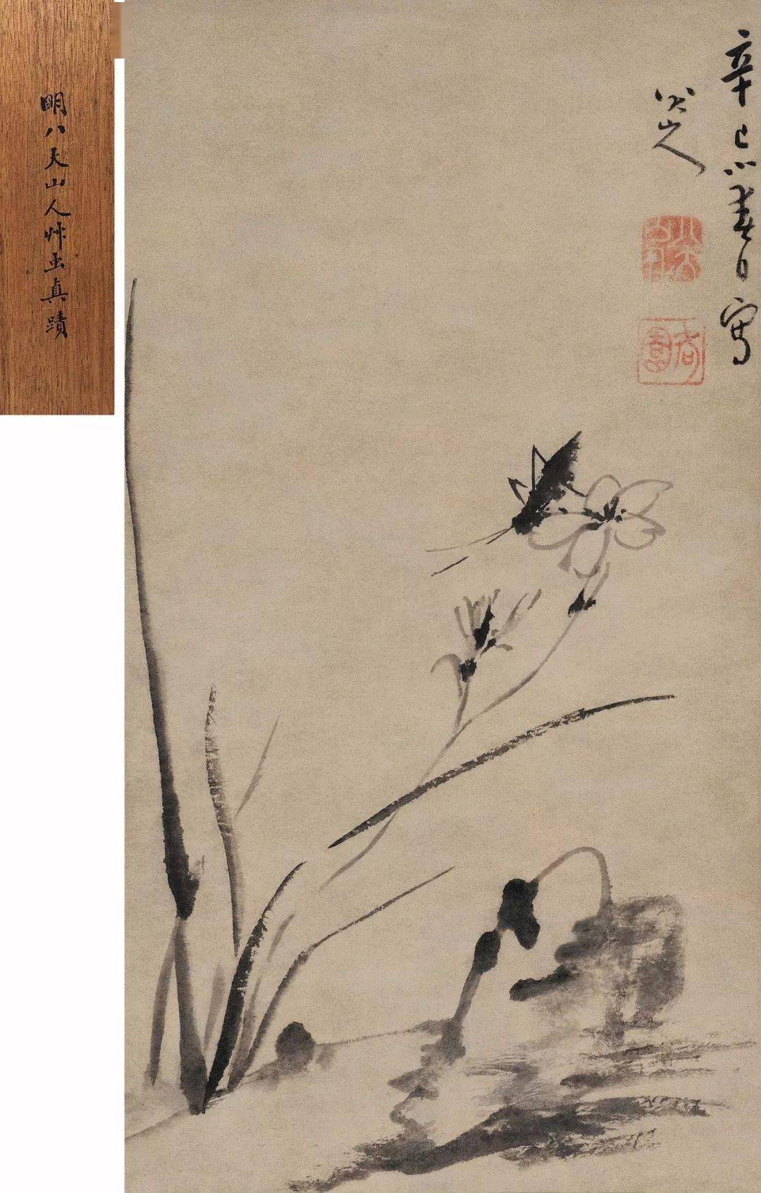 八大山人花鸟画一花一鸟皆悲啼