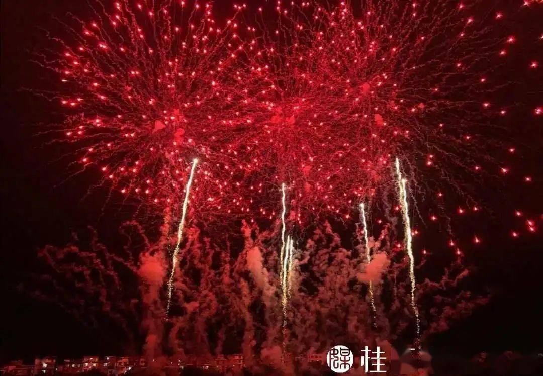 除夕今岁今宵尽守岁落灯花