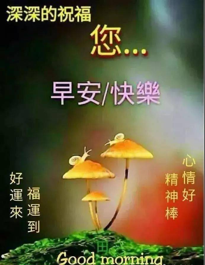 2021朋友圈早安祝福语漂亮图片