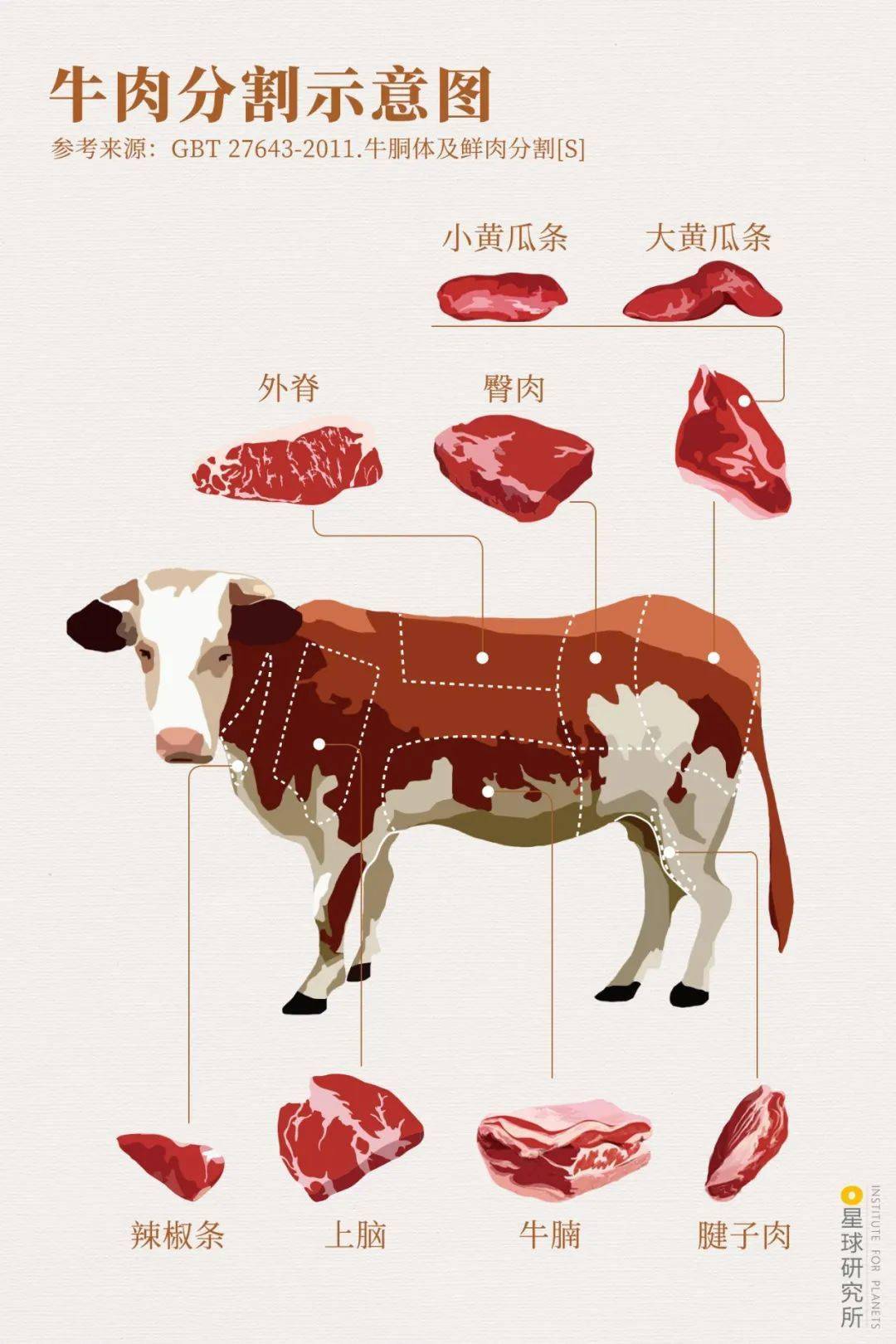 牛头主要富含胶原蛋白牛尾中肉和骨头的比例相当它们都适合炖煮熬汤