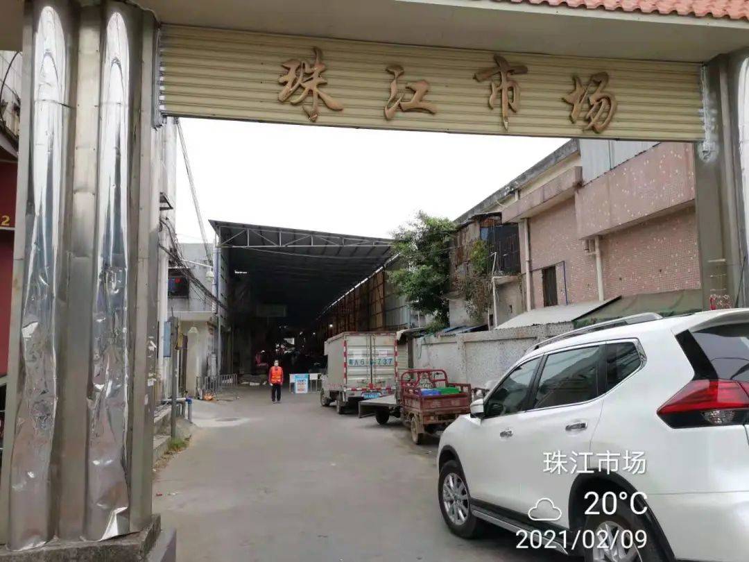 金誉市场,珠江市场,万顷沙市场三个市场春节期间均正常营业,各个市场