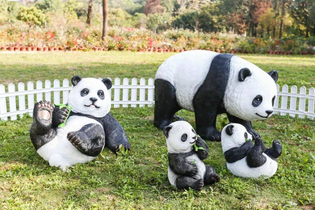 各种卖萌,撒娇,求抱抱~超萌熊猫家族空降『罗南生态园』过年头痕去