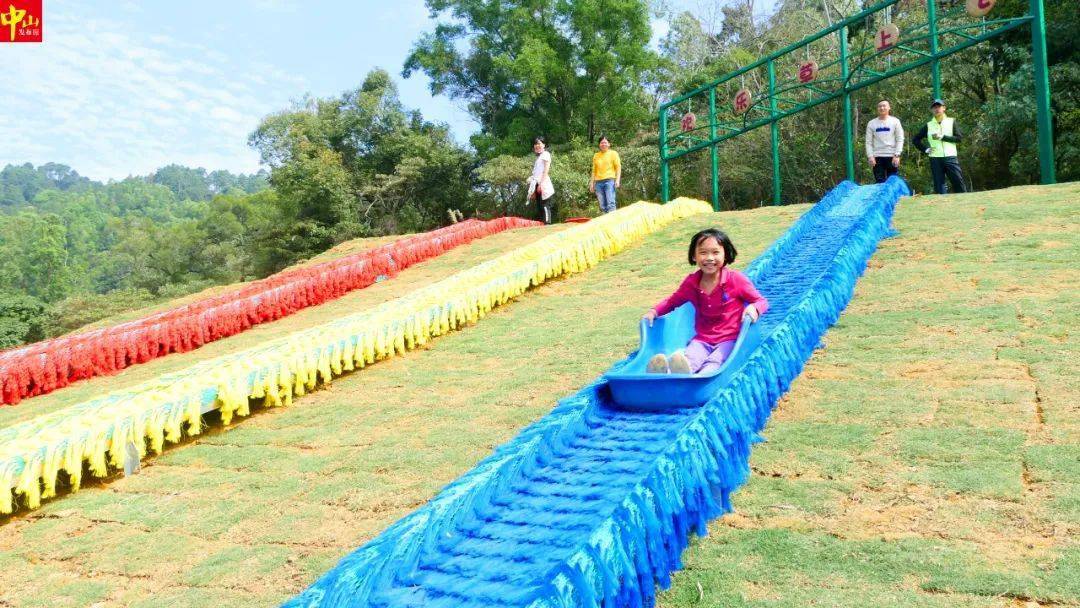 春节去哪儿玩?中山大片七彩花田盛放,约起