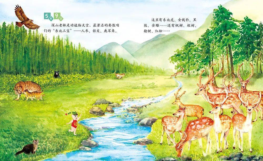 白山黑土——吉林第二站:959595《黑龍江正在說》這本圖畫書裡