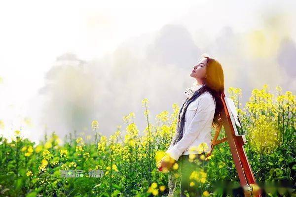 等你在春暖花开的时节