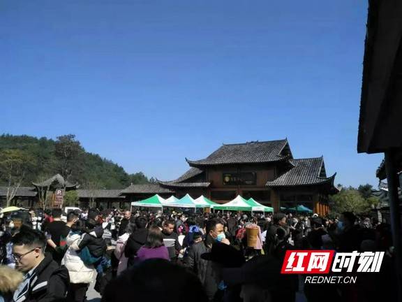 牛年第一天，叶红专调研矮寨奇观旅游区