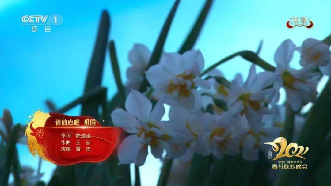 猗园花事|凌波仙子,岁寒清欢_水仙花