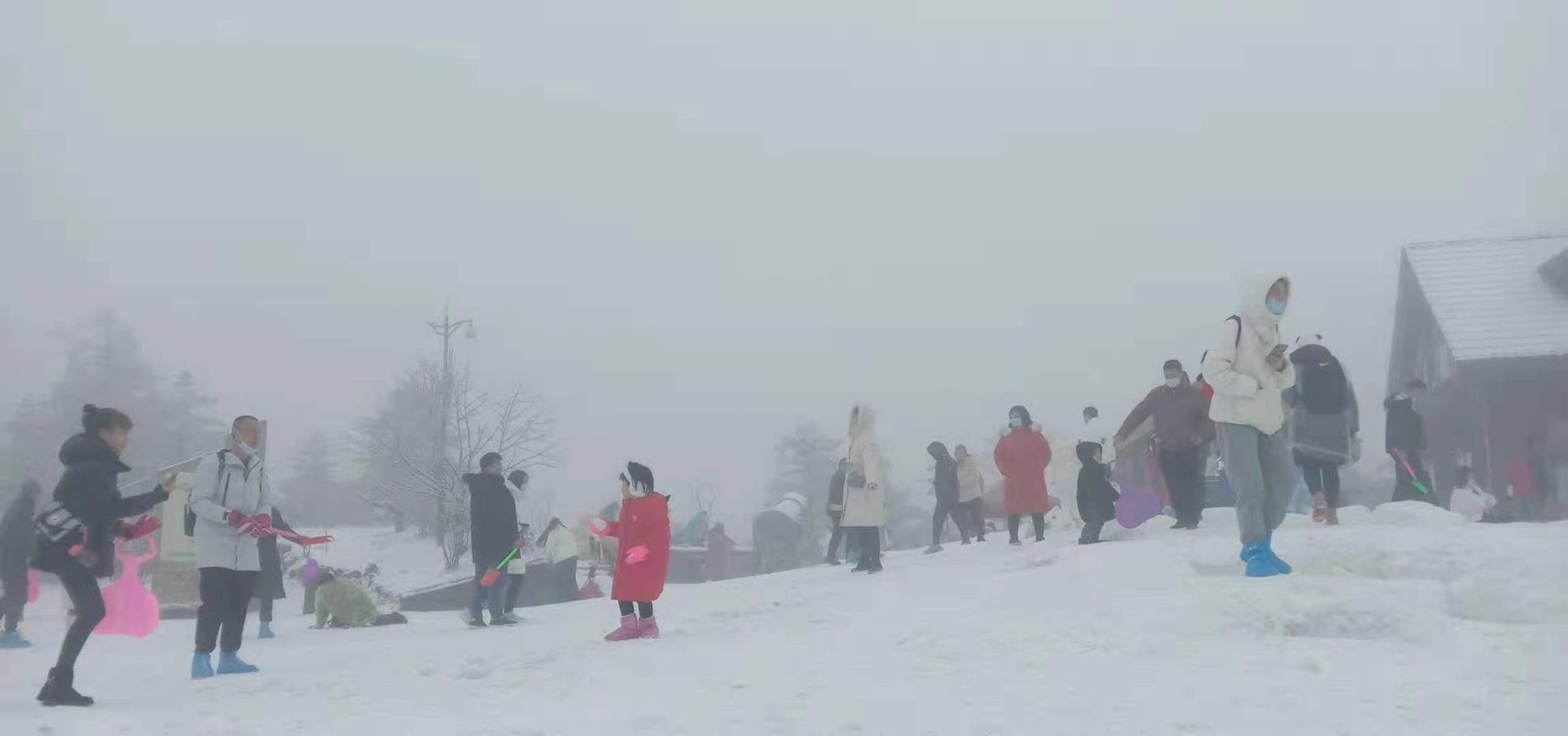 春节别错过！成都这些地方年味儿十足：山上瑞雪 水下舞龙 花开满园