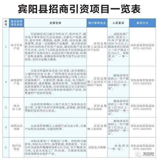 2020宾阳县gdp多少_2020年宾阳县国民经济发展统计公报(2)