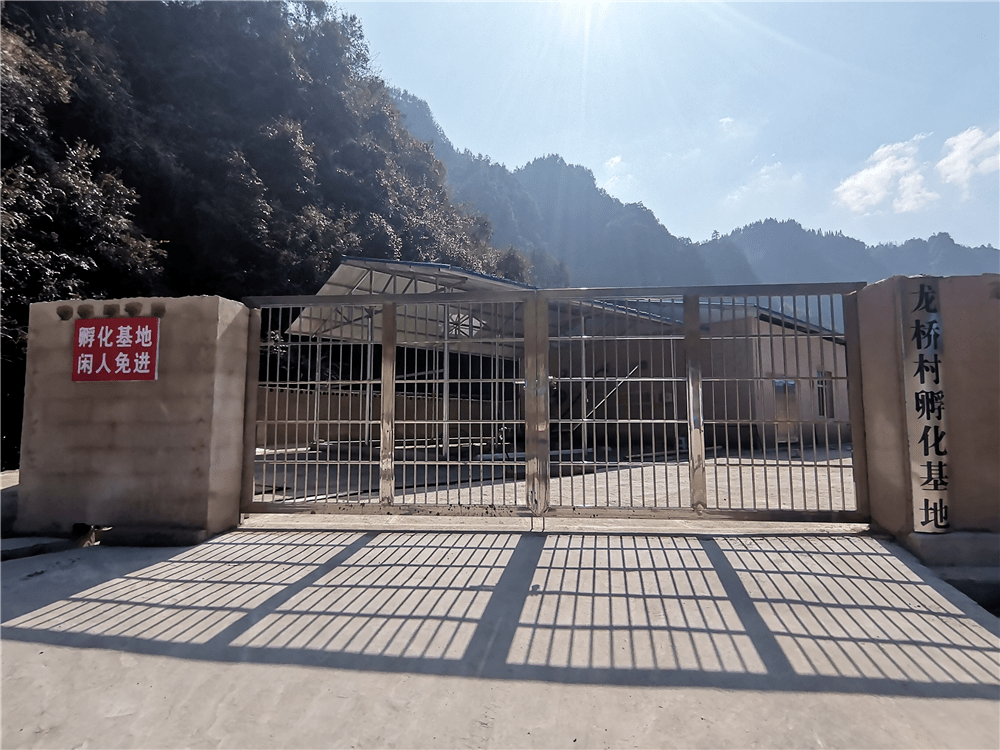 长乐乡:话产业庆新春 孵化基地孵出产业发展新动能新希望_建设