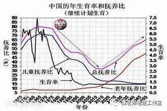 老龄人口比重名词解释_人口老龄漫画