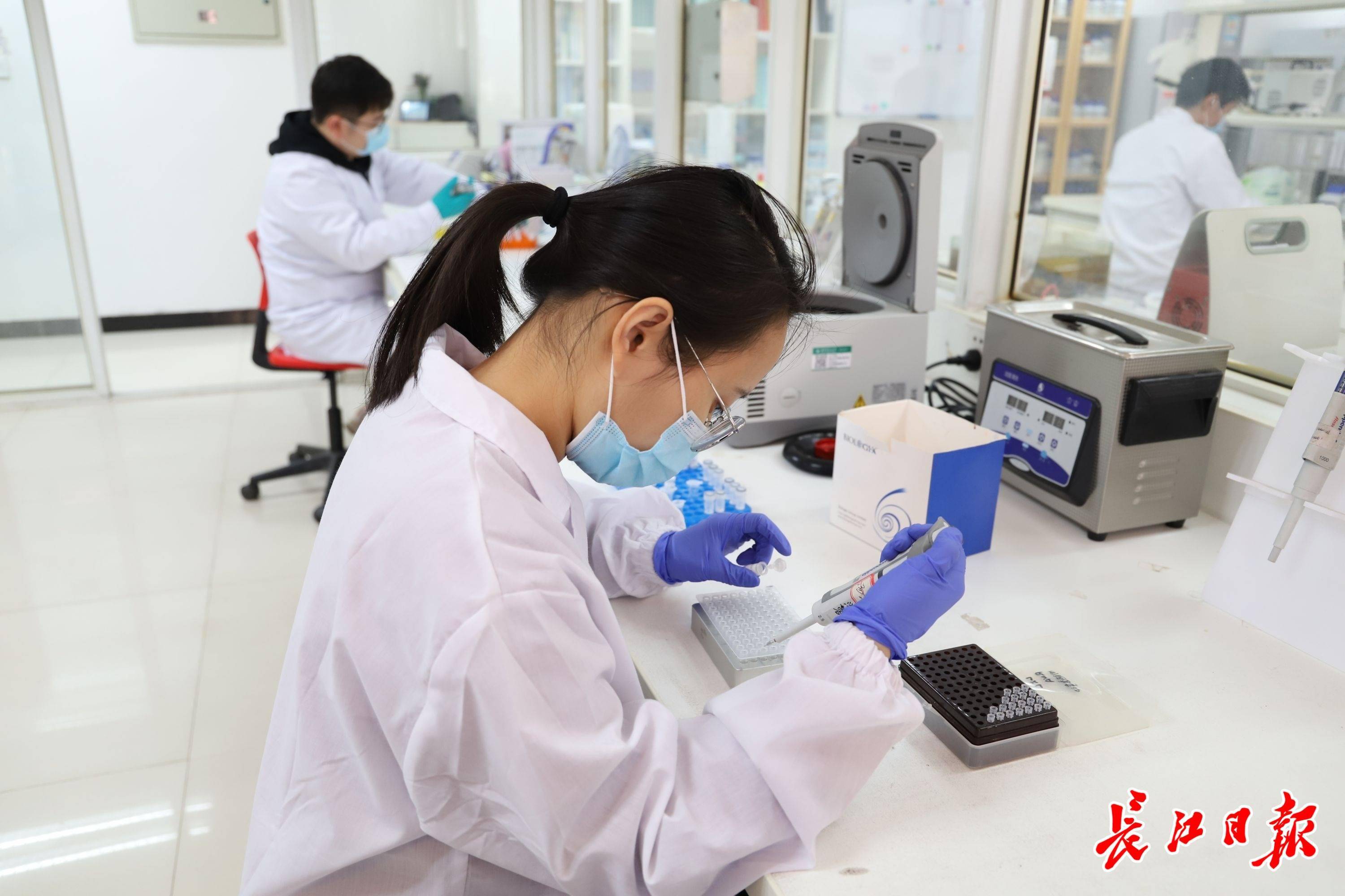 春节留校做科研的大学生图集