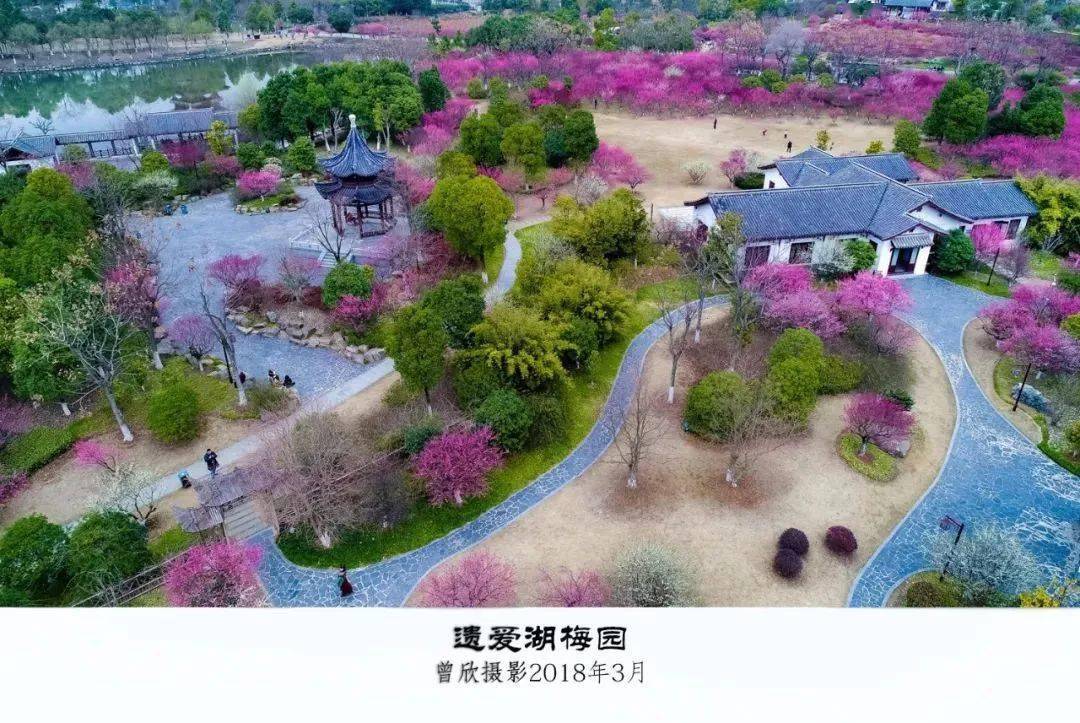 梅楚卡人口(2)