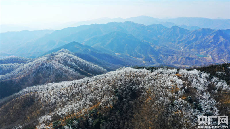 济南南部山区出现雾凇景观