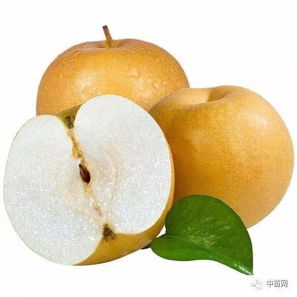 南水梨原产日本表面光亮肉质细嫩果汁极多含糖量高