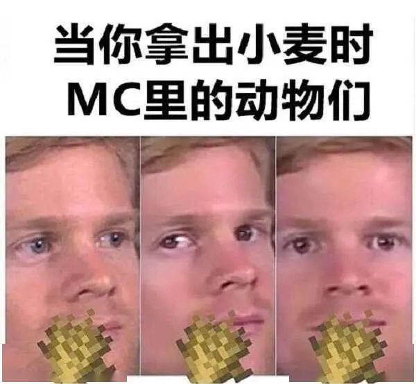 我的世界:7張玩家自制的mc趣圖,據說最後一張只有男孩子才懂!