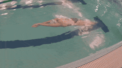7979a59c99f44acca510c3eb3acdc4c4.gif