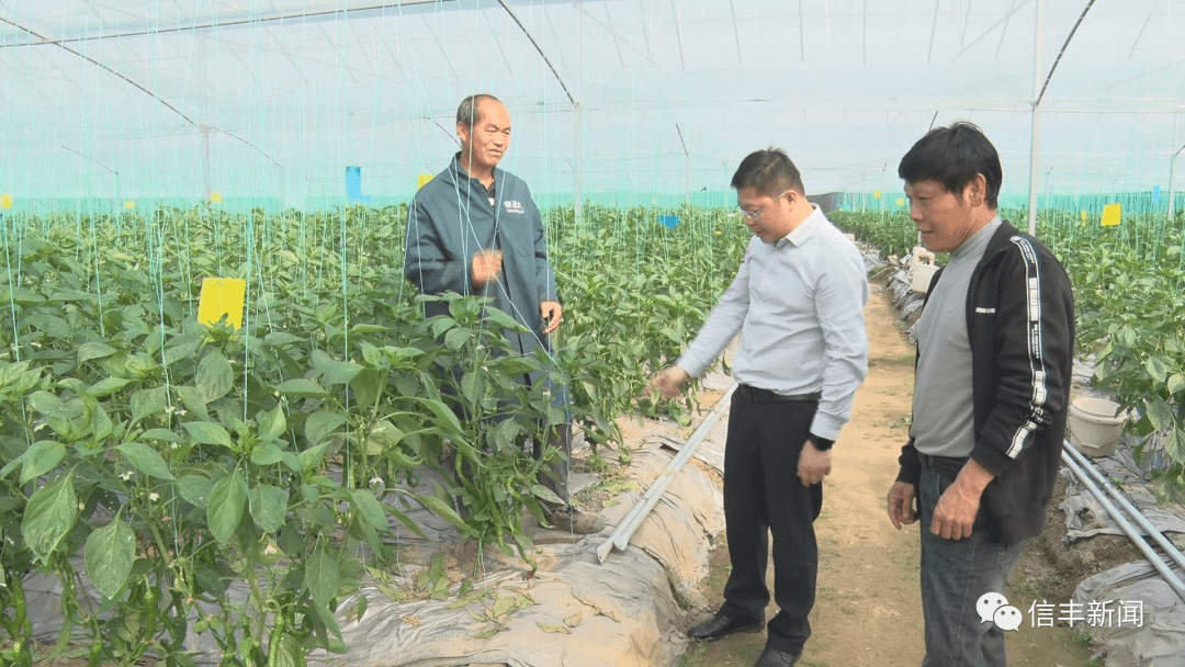 阿镇GDP_迈好第一步见到新气象大阿:在乡镇经济发展上作示范