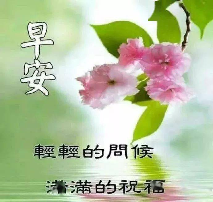 早上好动图表情早上好问候专辑早上好问候语及关心话