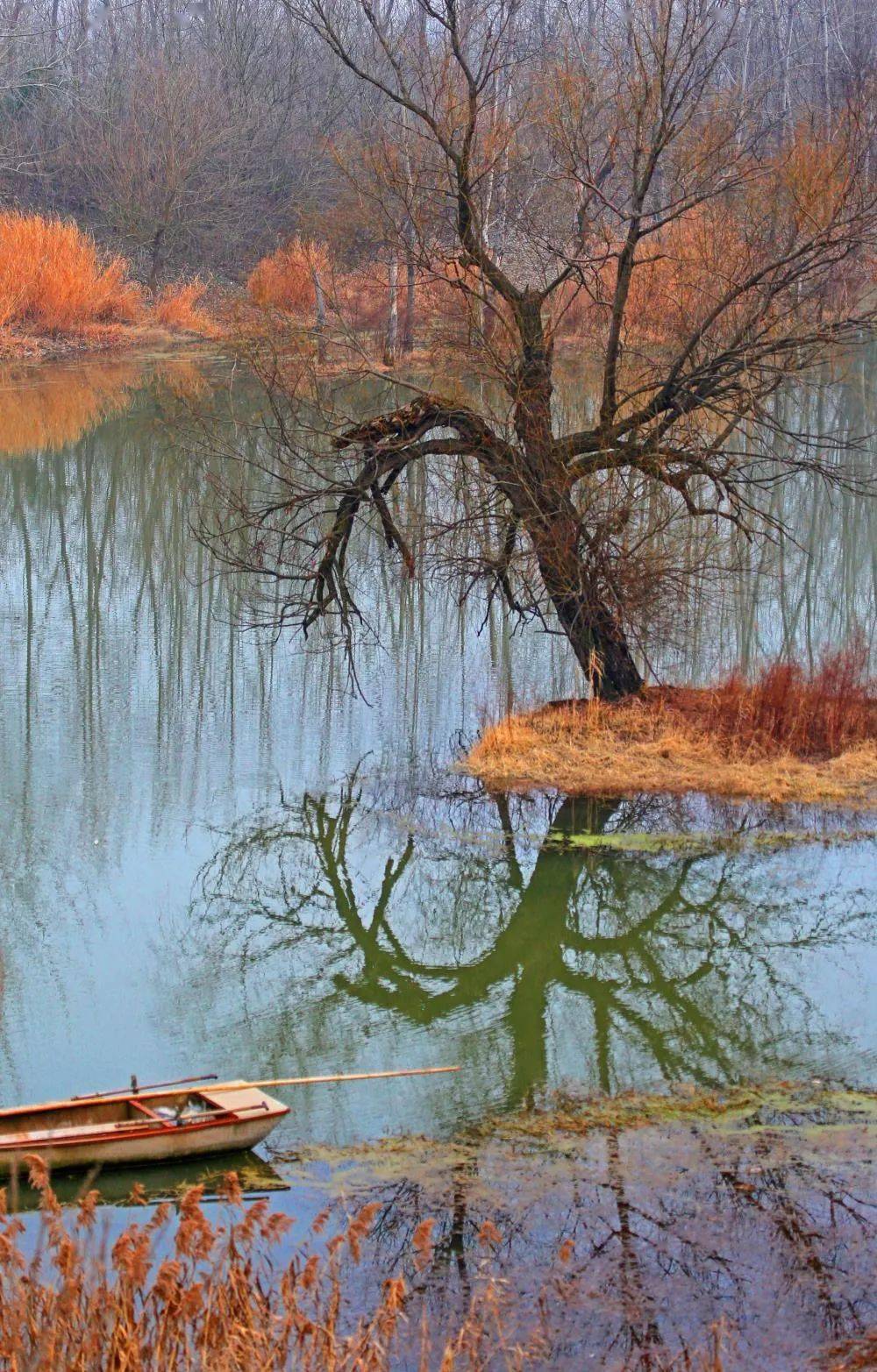 手机相册封面风景图片