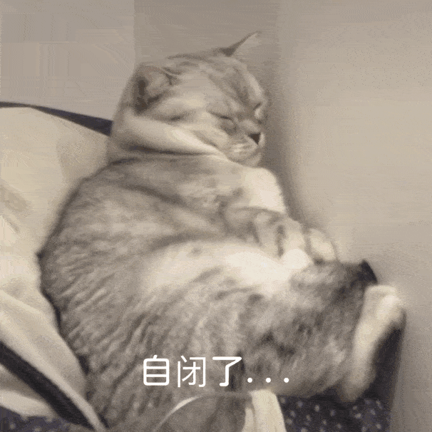 沙雕猫表情包沙雕猫猫表情包