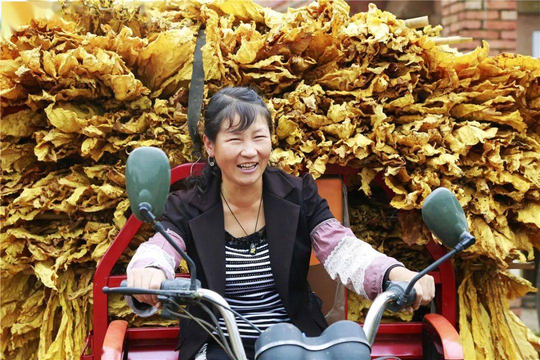 云端上的视界丨"我的家乡——宣威"摄影作品展(五)